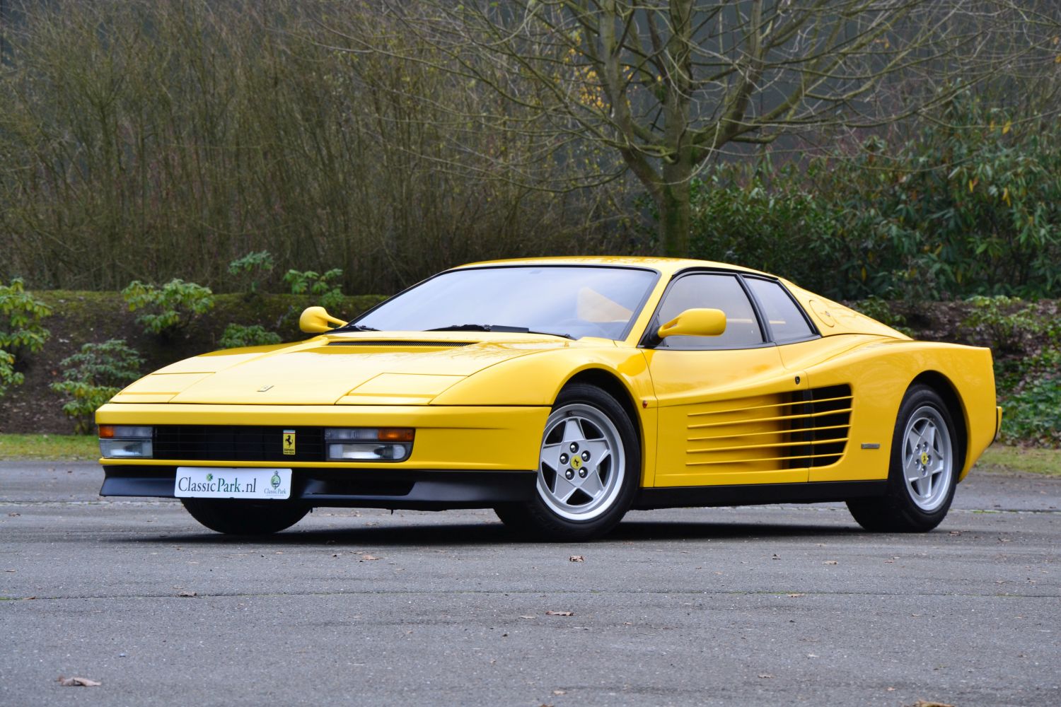 Classic Park Cars | Ferrari Testarossa